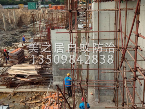 茶山土建白蚁预防