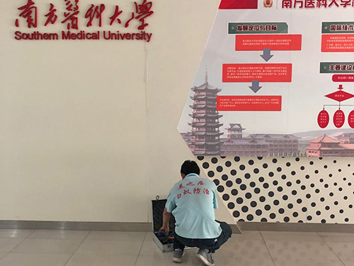 美之居白蚁治理案例